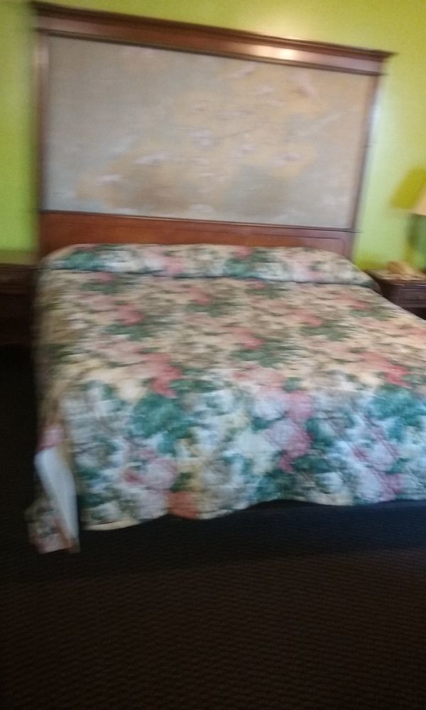 Hillside Motel Homer Esterno foto