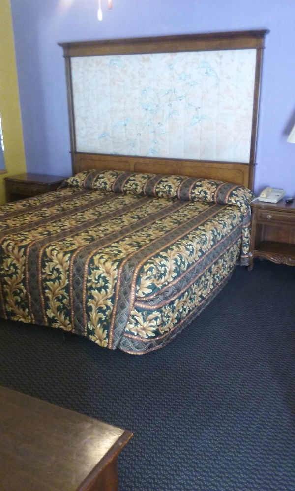 Hillside Motel Homer Esterno foto